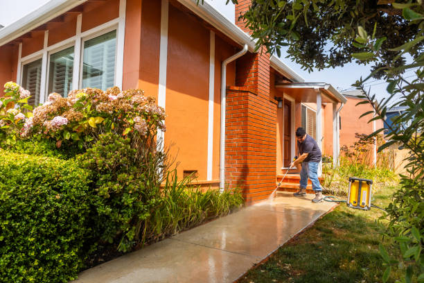 Best Pressure Washing Services Near Me  in New Baltimore, MI